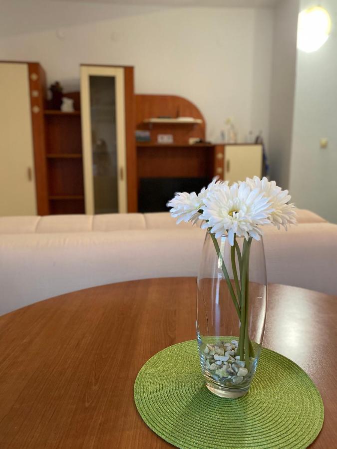 Apartments Mandarina Garden Petrovac Luaran gambar